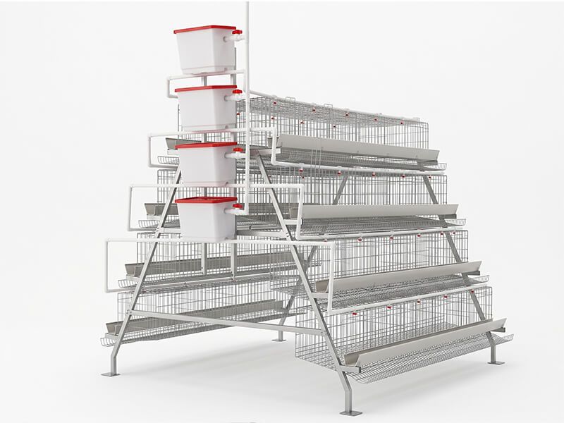 A Type Layer Cage