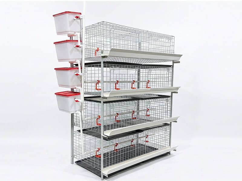 Broiler Chicken Cage