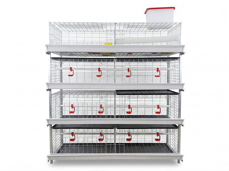 Chicken Brooder Cage