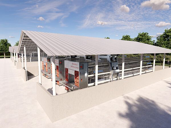 Exterior of a 10,000 bird layer house